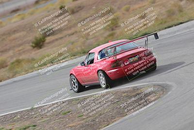 media/Nov-18-2023-Extreme Speed (Sat) [[10c227f63a]]/2-Green/Rear shots/